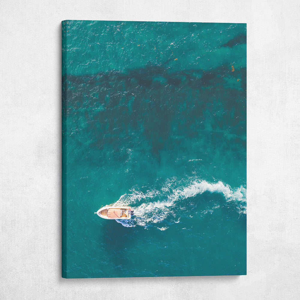 Reef Roamer