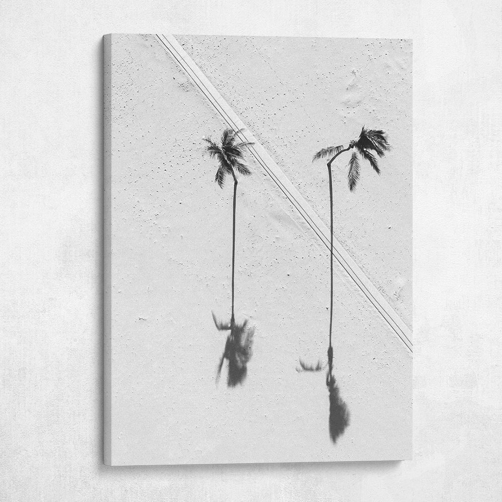 Peaceful Palms