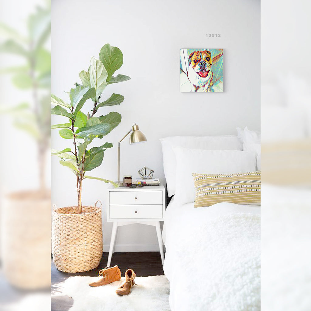 Oz The English Bulldog 12x12 Canvas