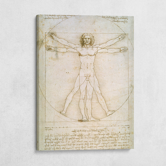 The Vitruvian Man