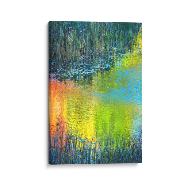 My new nature abstracts are from “The Tarn”- Acadia National Park. The Tarn is a shallow, weedy “pond”.