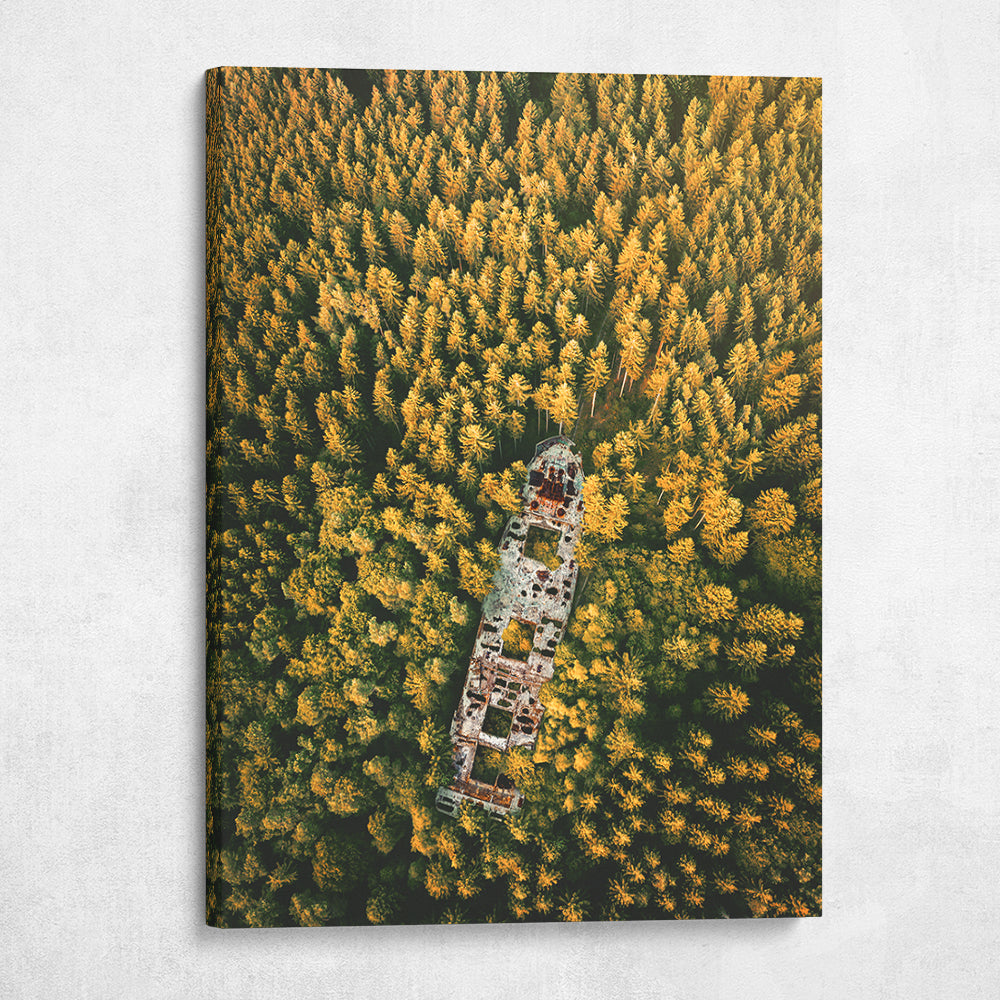 Lost In The Forest