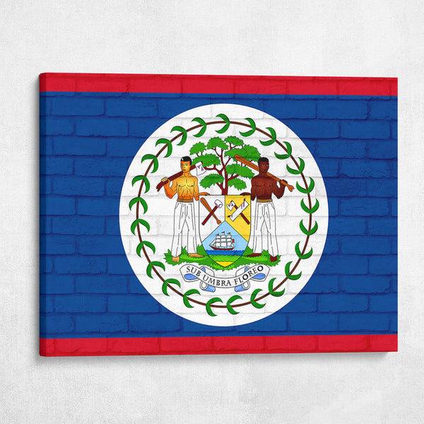 Belize National Flag on Brick Texture