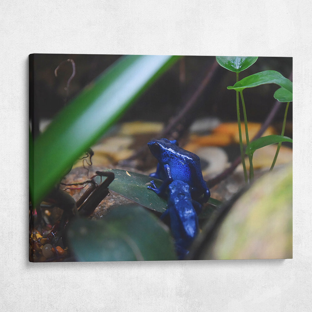 Blue Poison