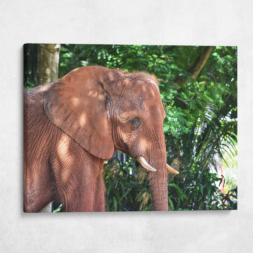 Gentle Giant
