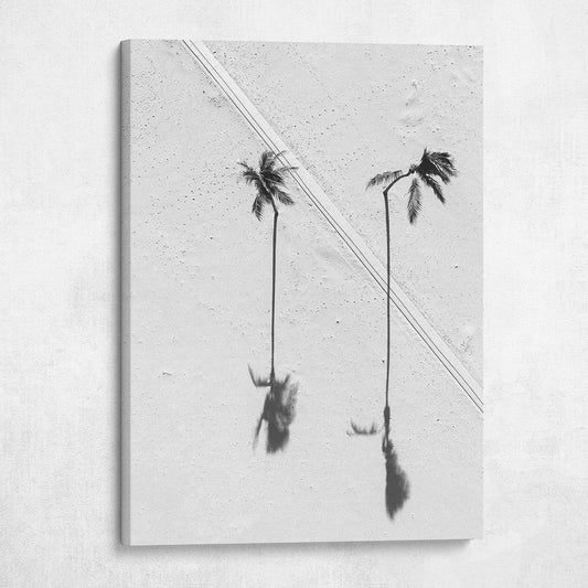 Peaceful Palms